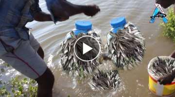 Amazing Fish Trap - Wow! Fish Catch With Plastic Bottle