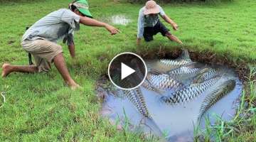 OMG!! Catching a lot of Big Fishes by Hand in Raining Season - Best Fishing of 2021