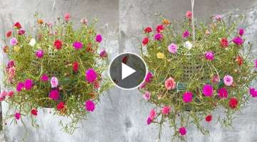 Grow Colorful Lantern Shaped Flower Baskets from Plastic Baskets (Mossrose) - Beautify Your Garde...