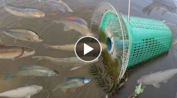 Creative Girl Make Fish Trap Using PVC - Fan Guard - Basket To Catch A Lot of Fish
