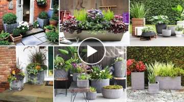 70+ Creative DIY CEMENT Pots Ideas For Narrow Garden Decoration