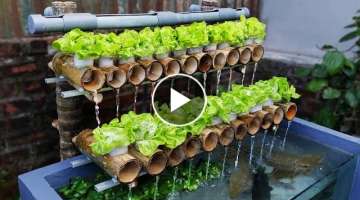 The Secret to Make a Fish Pond Combined with Growing Clean Vegetables