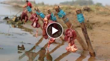 Fishing video || catching big fish using liver in the river of the village || Amazing hook fishin...
