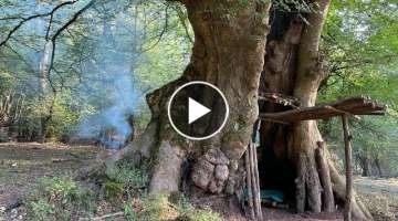 Building Complete And Warm Survival Shelter In The Trunk , Bushcraft Tree Hut & Fireplace With Di...
