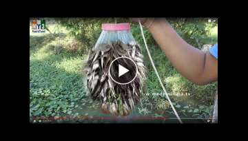 Amazing Fish Trap - Wow! Fish Catch With Plastic Bottle street food