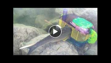 HAMSTER CAGE FISH TRAP Catches BIG FISH! DIY Fishing