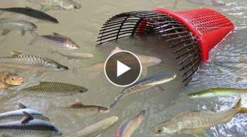Creative Girl Make Fish Trap Using Plastic Bottle - Basket - Bamboo To Catch A Lot of Fish