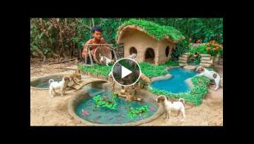 Rescue Abandoned Puppies Building Mud House Dog And Fish Pond For Red Fish