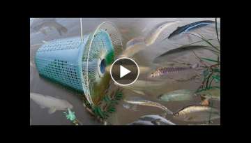 Creative Boy Make Fish Trap Using Fan Guard And Basket To Catch A Lot of Fish