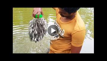 Bottle Fish Trap | Amazing Boy Catch Fish With Plastic Bottle Fish Trap (Part-2)