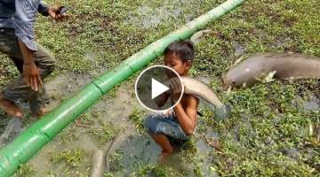 Wow! Amazing Sisters Catch Fish With Hole Fish Trap-Traditional Fishing Videos Catching in Water