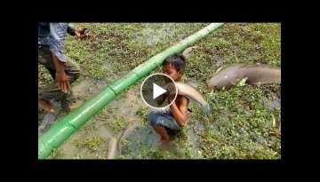 Wow! Amazing Sisters Catch Fish With Hole Fish Trap-Traditional Fishing Videos Catching in Water