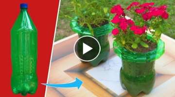 Flower pot making from plastic bottle in just 2 minutes
